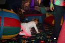 IMG_5820.jpg