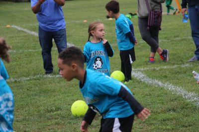 IMG 7237
