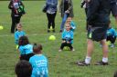 Filename=IMG_7252.jpg
Filesize=202KiB
Dimensions=1000x667
Date added=Sep 05, 2020 IMG_7252.jpg