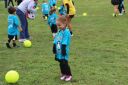 IMG_7272.jpg