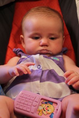 IMG 3770
