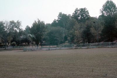 Upper field
