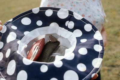 Frog in a hat
