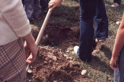 Shovelling over bugsy
