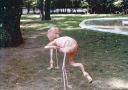 Its_a_flamingo_28229.jpg