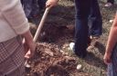 shovel_over_bugsy_fc.jpg