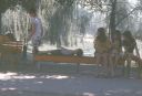 shuffleboard.jpg