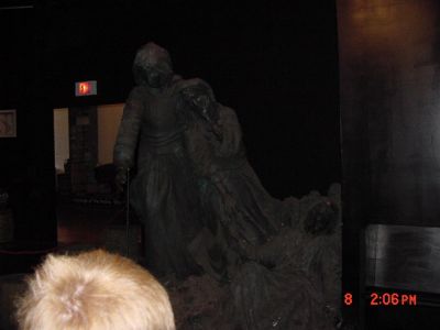 staute
