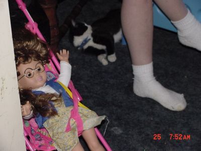 doll
