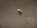 DSC00028.JPG