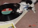 DSC00074.JPG