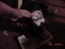 DSC00077.JPG