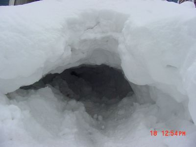 DSC00049
