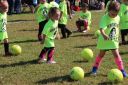Filename=IMG_8474.jpg
Filesize=281KiB
Dimensions=1000x667
Date added=Sep 05, 2020 IMG_8474.jpg