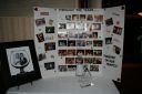 Picture_313.jpg