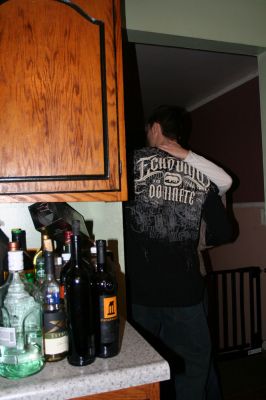 Picture 486
