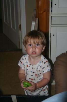 Picture 355
