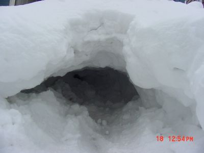 DSC00049
