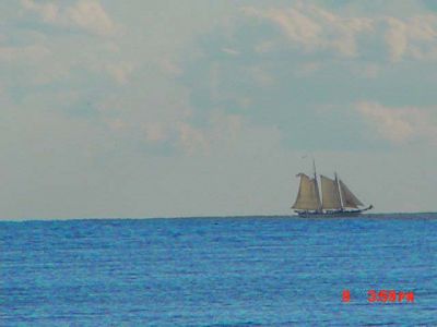 clipper3
