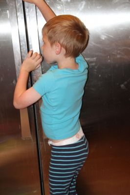 IMG 1324
