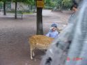 Filename=MVC-010S.JPG
Filesize=35KiB
Dimensions=640x480
Date added=Aug 26, 2020 MVC-010S.JPG