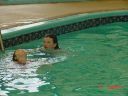kidspool2.jpg