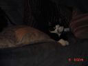 DSC00005.jpg