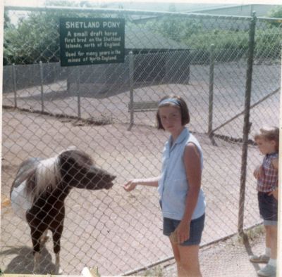 Game Farm
