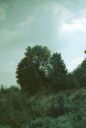 Filename=a_Bush.jpg
Filesize=145KiB
Dimensions=677x1000
Date added=Sep 05, 2020 a_Bush.jpg