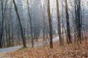 Filename=a_road_through_the_woods.jpg
Filesize=328KiB
Dimensions=1000x668
Date added=Sep 05, 2020 a_road_through_the_woods.jpg