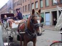 carriageride.jpg