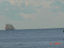Filename=clipper2.jpg
Filesize=38KiB
Dimensions=640x480
Date added=Sep 05, 2020 clipper2.jpg