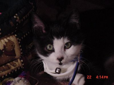 DSC00069
