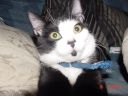 Dsc00007.jpg