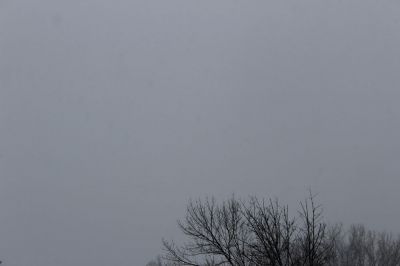 IMG 0184
