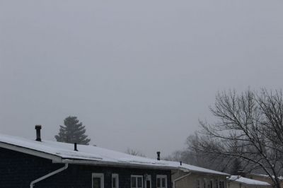 IMG 0185
