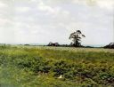 Solitary_Tree_Battlefield_at_Gettysburg.jpg