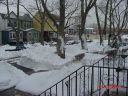 DSC00052.JPG
