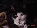 DSC00069.JPG