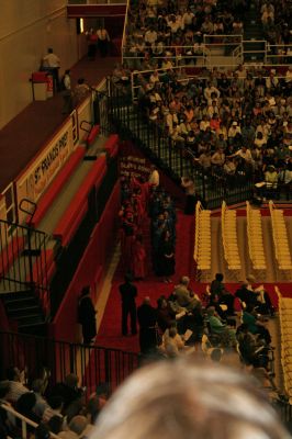 Picture 023
