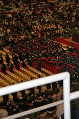 Picture 046
