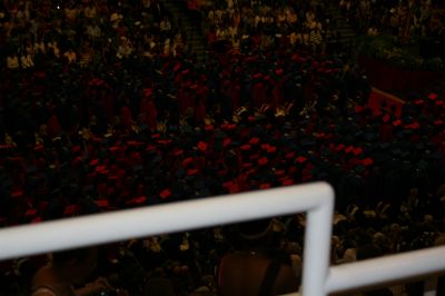 Picture 070
