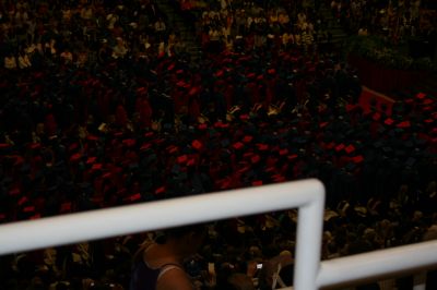 Picture 071
