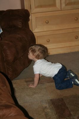 Picture 019
