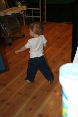 Picture 029
