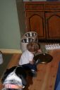 Filename=Picture_041.jpg
Filesize=104KiB
Dimensions=667x1000
Date added=Sep 05, 2020 Picture_041.jpg