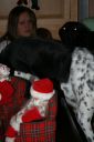 Picture_355.jpg