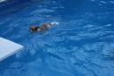 Picture_698.jpg