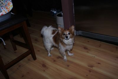 IMG 4751
