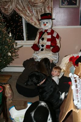 Picture 577
